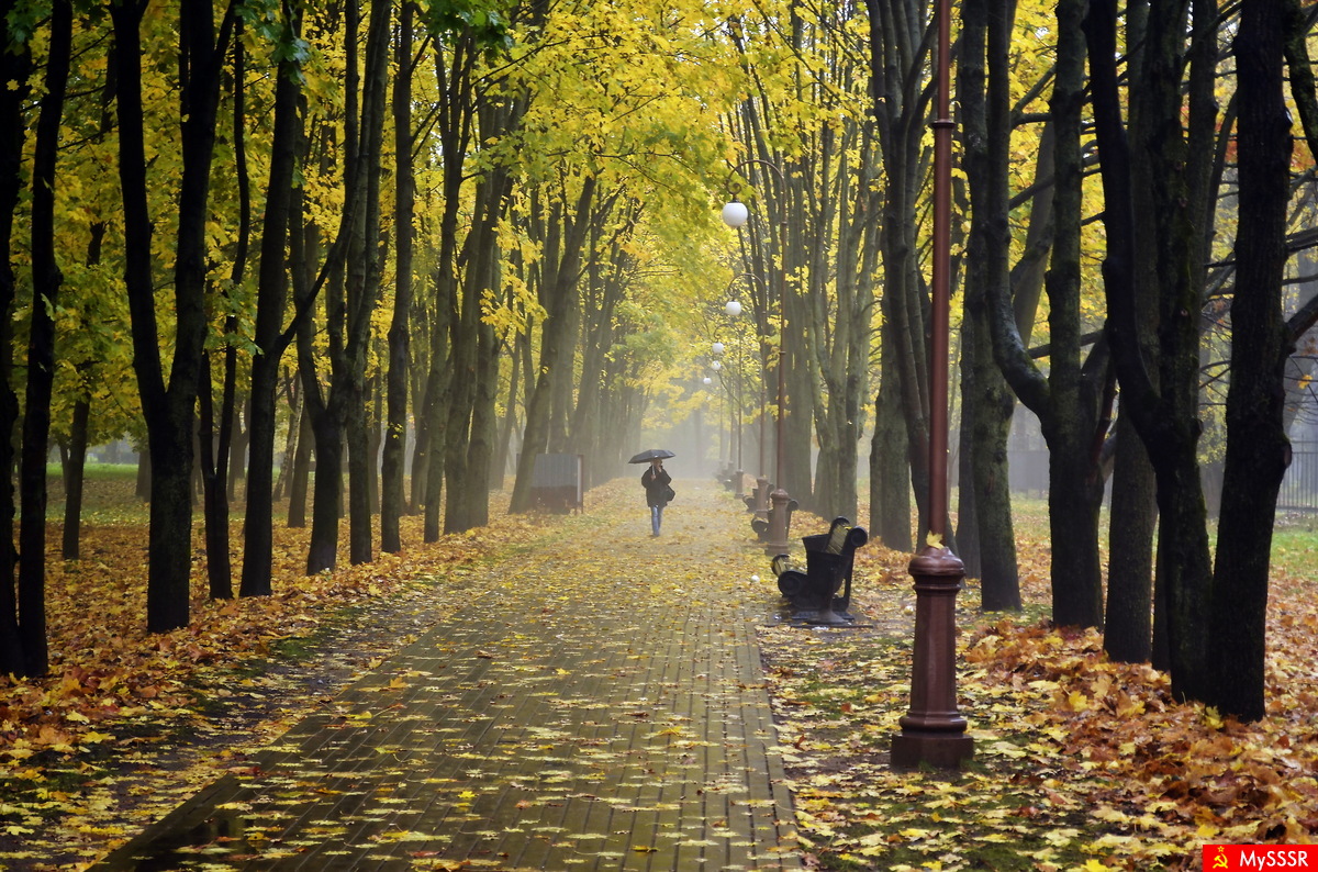 Поздняя осень в парке Челюскинцев Минск