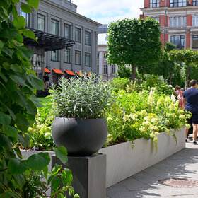 ����. �����. ��������� ����