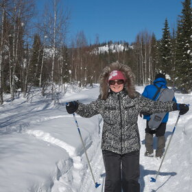 ����� ����. ���������� �� �����������