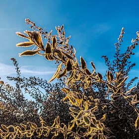 ����. ������. �������