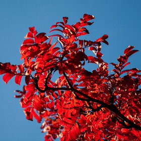 Лучшие фото. ПРИРОДА (0)