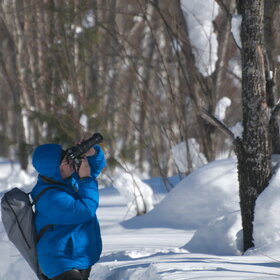 ���������� �� �����������