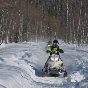 ����� ����. �����������