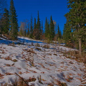 ������ ����. ���������� �� �����������