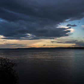 ����. ������. �������