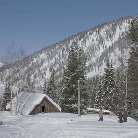 ����� ����. ���������� �� �����������