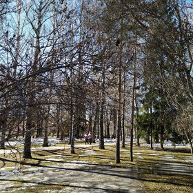 ������ ����. �������