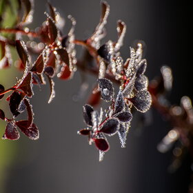 �������