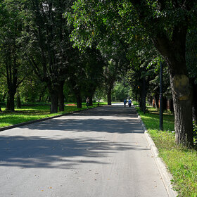 ������ ����. ���������� ����