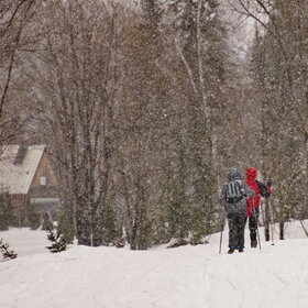 ������ ����. �����������