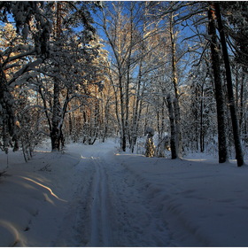 Прогулка по зимнему лесу...