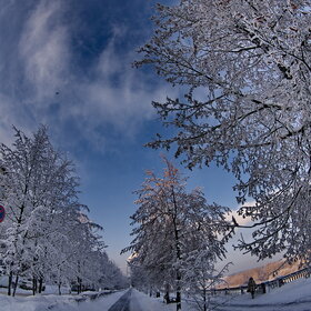 ����. ������. �������