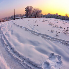 ����. ������. �������