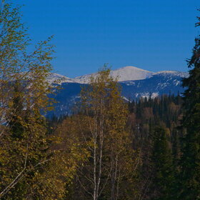 ����. ���� �� �����������. ���������� �� �����������