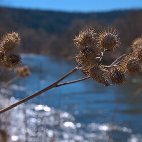 ������ ����. �������