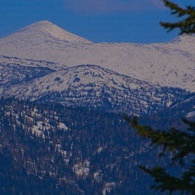 ������ ����. ���������� �� �����������