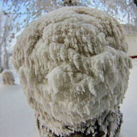 ����. ������. �������