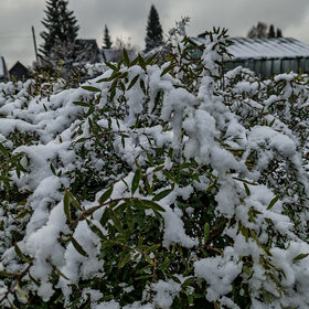 �������