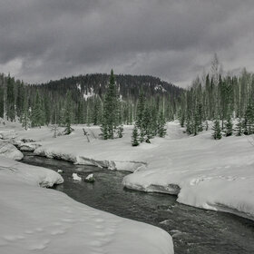 ������ ����. ���������� �� �����������