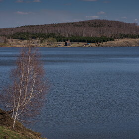 ����. ������. �������