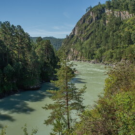 ������ ����. ���������� �� �����������