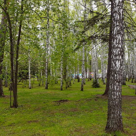 ������ ����. �������