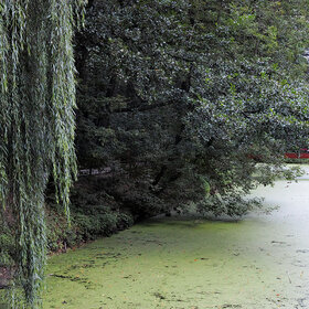 ����. �����. ����������� ����