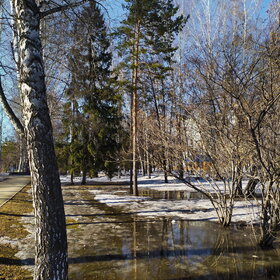 ����� ����. �������