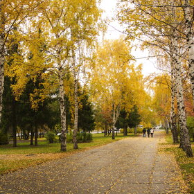 Новые фотографии. ПРИРОДА