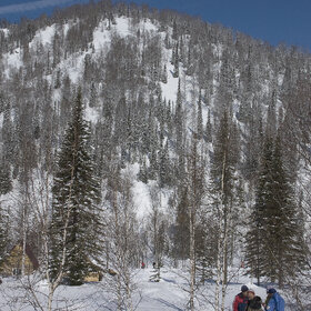 ����� ����. 