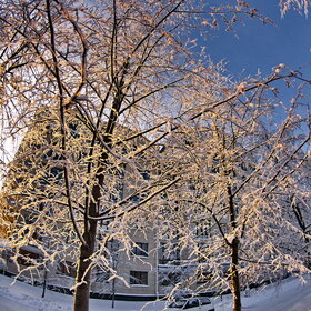 ����. ������. �������