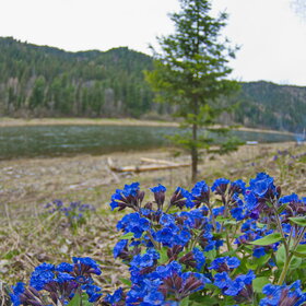 �������