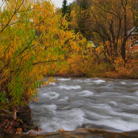 ������ ����. ���������� �� �����������