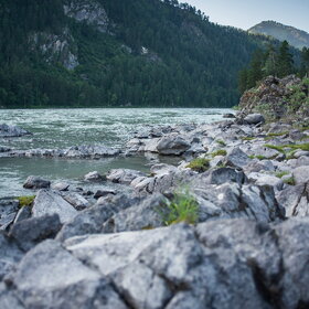 ����� ����. ���������� �� �����������