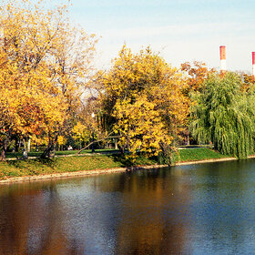 ����. �����. ���� ����������� �����