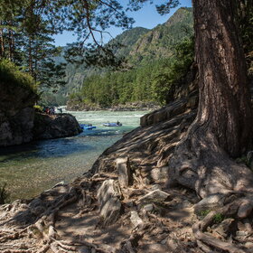 ������ ����. ���������� �� �����������