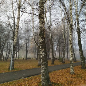 ����� ����. �������