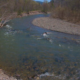 ������ ����. �������