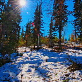 ������ ����. ���������� �� �����������