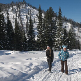 ����� ����. ���������� �� �����������