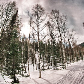 ������ ����. ���������� �� �����������