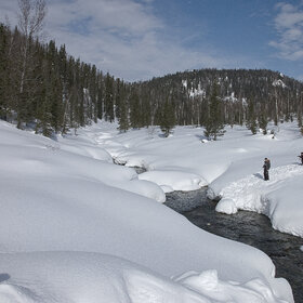 ����� ����. ���������� �� �����������