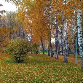 ����� ����. �������