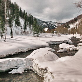 ������ ����. ���������� �� �����������