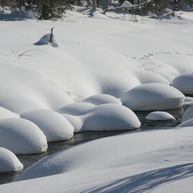 ���������� �� �����������