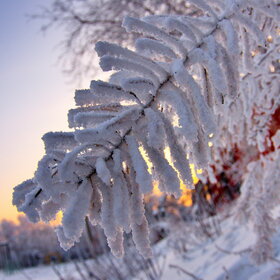 ����. ������. �������