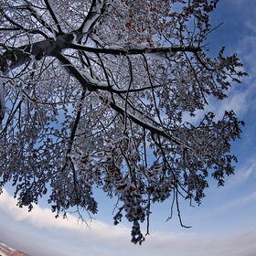 ����. ������. �������