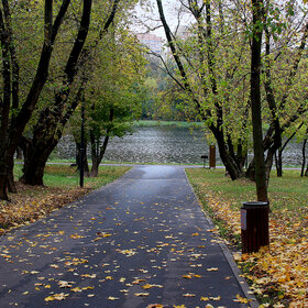 ������ ����. ���������� ����