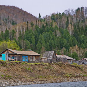 ������ ����. �������