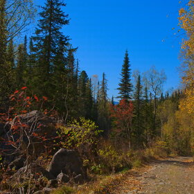 ������ ����. ���������� �� �����������